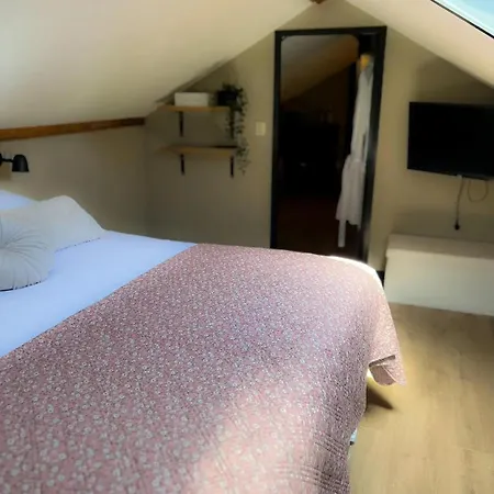 De Koolschuur Holiday home *