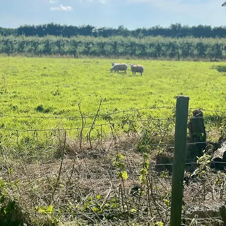 De Koolschuur Heerhugowaard
