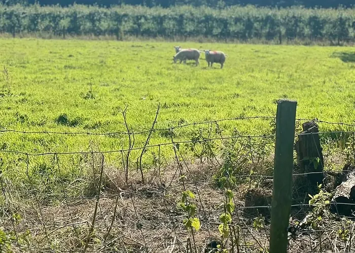 De Koolschuur Херхюговард